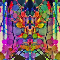 Symmetric Designs