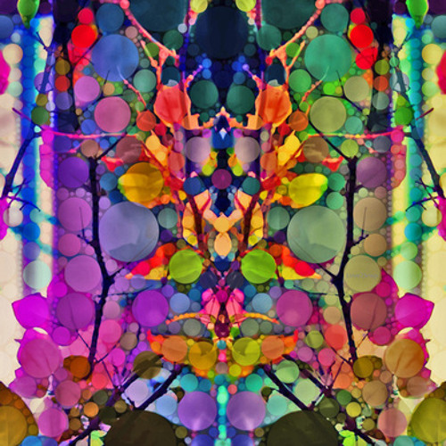 Symmetric Designs
