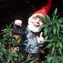Gnome