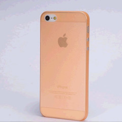 Audio Recording on Sunday morning