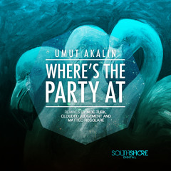 Umut Akalin - Where's the Party At  ( Moe Turk Remix )