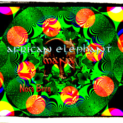 African Elephant Mana