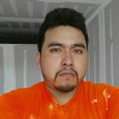 Raúl Ornelas & Edgar Oceransky - Hasta La Camisa.mp3