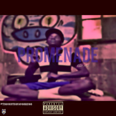 Arioste - Promenade feat Mali