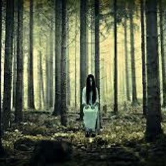 Lost in the Woods