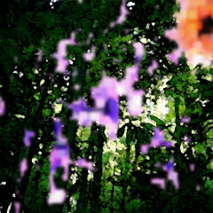 Tropical Space Forest