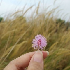 Mine (cover feat. @faridsfs )