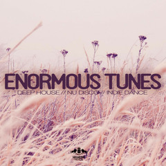 Enormous Tunes 2014 (Autumn Previews)