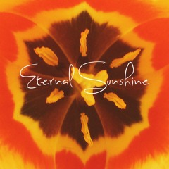 Geraint Rhys & The Lost Generation- Eternal Sunshine