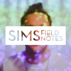 Sims "This Is The Place" (feat Astronautalis)