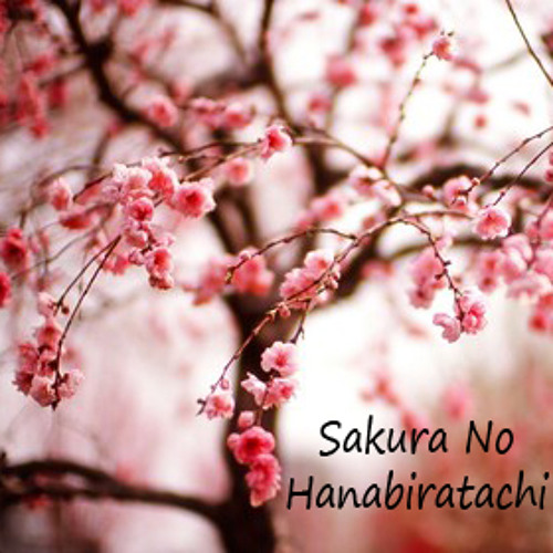 Spesial 12+ Download Mp3 Jkt48 Kelopak Bunga Sakura