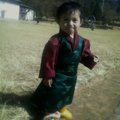 Choe - Josa - Saago - By - Ugyen - N-pema - Deki