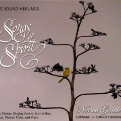 Replenish (voice and Tibetan Bowl Choir)