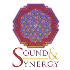 Tibetan Singing Bowl Chakra Meditation