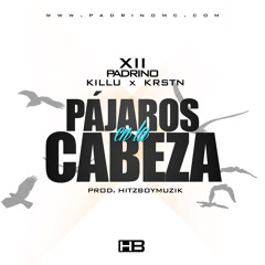 Pájaros en la cabeza ft. Killu & KRSTN