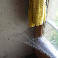 Armchair thrills by the sea.