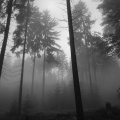 Kompaniet - "Isolation"
