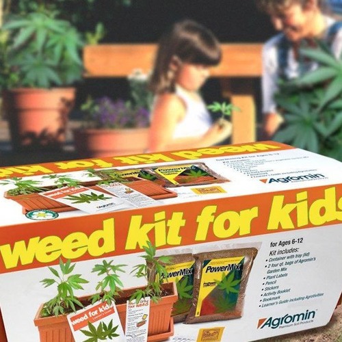 Raggamuffin Life (with Stas Konkin & JahMaikL)