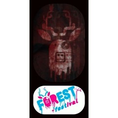 Brojanowski - Live - At Forest Festival Belgium 2014