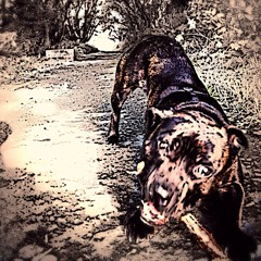 your name your nation-NDE (instrumental)