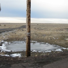 Madras Greyhound Line