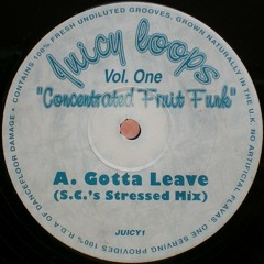CONCENTRATED FRUIT FUNK - GOTTA LEAVE (S.C.'S STRESSED MIX)