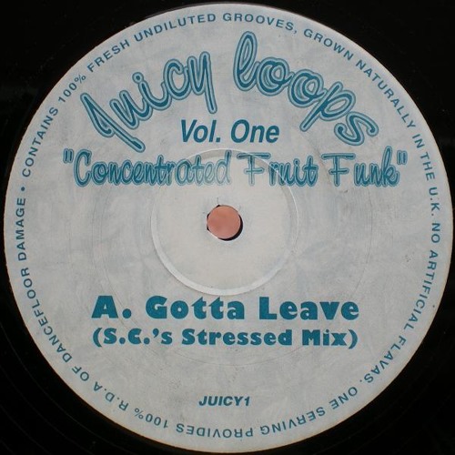 CONCENTRATED FRUIT FUNK - GOTTA LEAVE (S.C.'S STRESSED MIX)