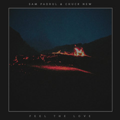 Sam Padrul (Ft. Chuck New) - Feel The Love