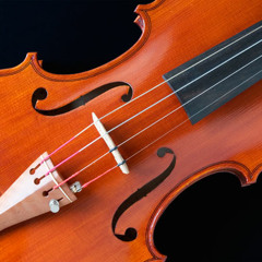 HIMNO LOGIA VERDAD Nº 10