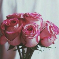 سورة الملك بصوت الشيخ مشاري العفاسي