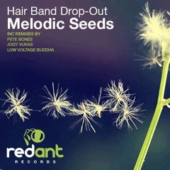 HAIR BAND DROP-OUT "MELODIC SEEDS" (JODY VUKAS REMIX)