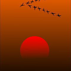 夏の夕暮れ Summer Dusk