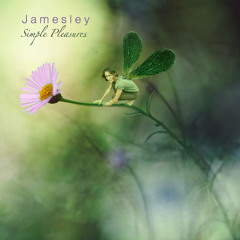 Simple Pleasures - Jamesley