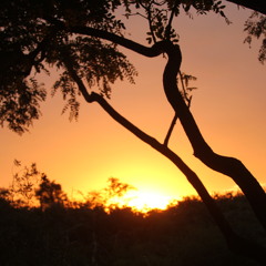 MonaConGuitarra_VIVO Eco Aldea Velatropa en el DiaFueradelTiempo_MAMAE CACHOEIRA_dub hop