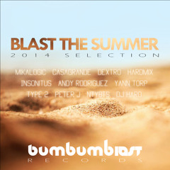 Blast The Summer 2014 Selection