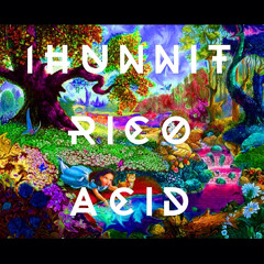 1Hunnitrico - Acid