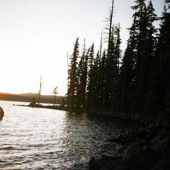 Endless Summer