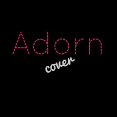 Adorn (Miguel) COVER