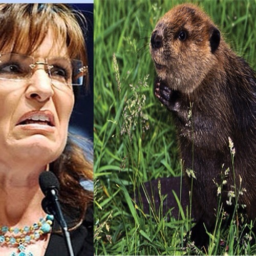 Valley of the Beaver