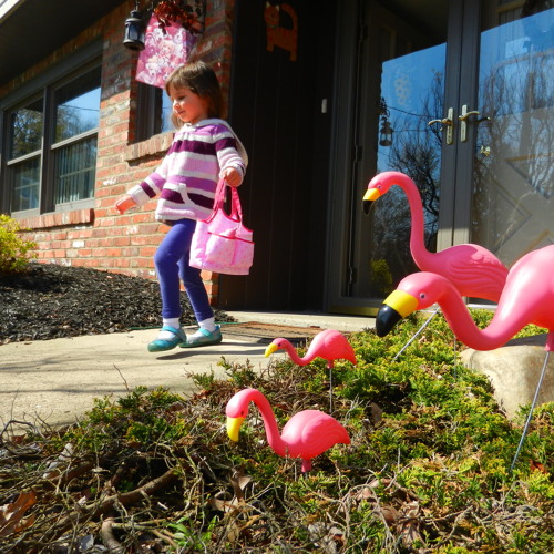 Stream Why Does a Watermelon Poop? by adamice9 Listen online for free