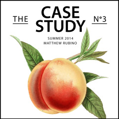 Summer 2014:  The Case Study No. 3