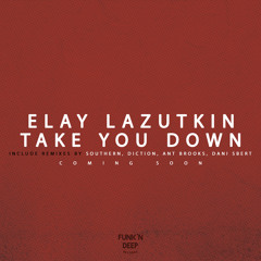 Elay Lazutkin - Take You Down (Original Mix)[Funk'n Deep Records]