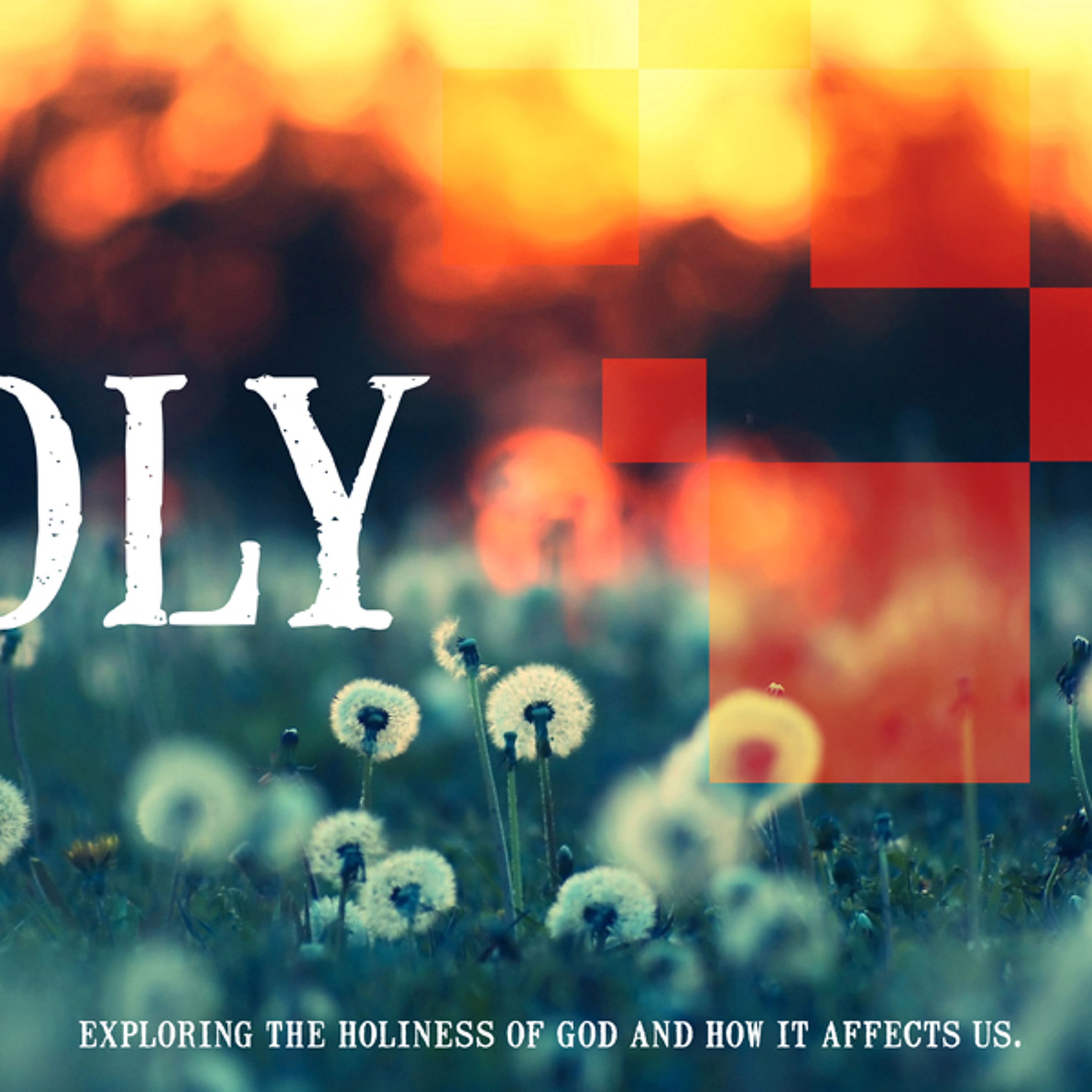 2014 - 01 - 26 - Pastor Jamie Pagels - Holy episode artwork