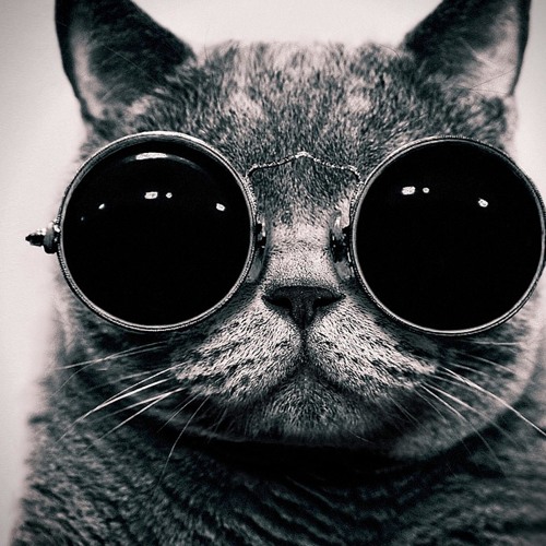 Humeur D'un Lundi