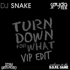 DJ Snake x Onderkoffer-Turn Down For What (SpydaT.E.K 'VIP' Edit) *PLAYED BY DIPLO AT TOMORROWWORLD*