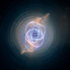 Syzygy - Yellow Brick Toad (Yellow Brick Road Cover)