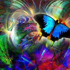 Papillon ferme ta gueule