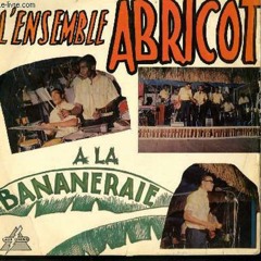 L’ Ensemble Abricot- Chonga