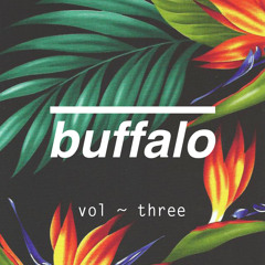 BuffaloUK - Mixtape Vol.3 / Guest Mix: Dilution