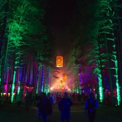 MoPo Live @ Electric Forest June 27, 2014 (Funk In The Forest)